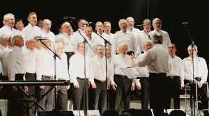 Voidum en concert à Meillonnas